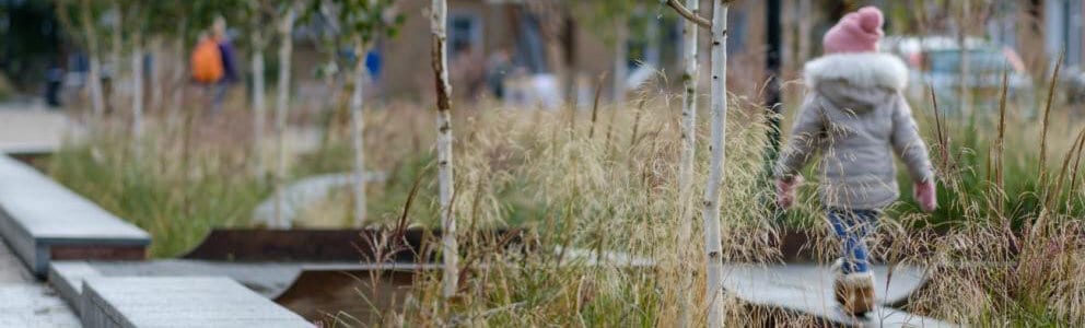 Sustainable drainage systems (SuDS) TC & Co Civil Engineering & Groundworks